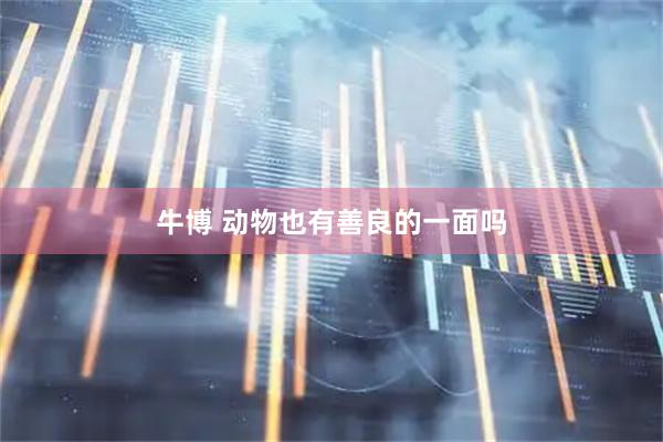 牛博 动物也有善良的一面吗