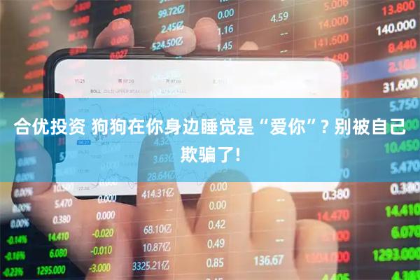 合优投资 狗狗在你身边睡觉是“爱你”? 别被自己欺骗了!