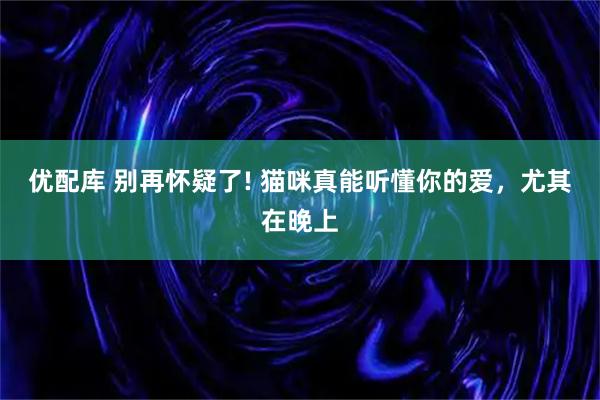 优配库 别再怀疑了! 猫咪真能听懂你的爱,尤其在晚上